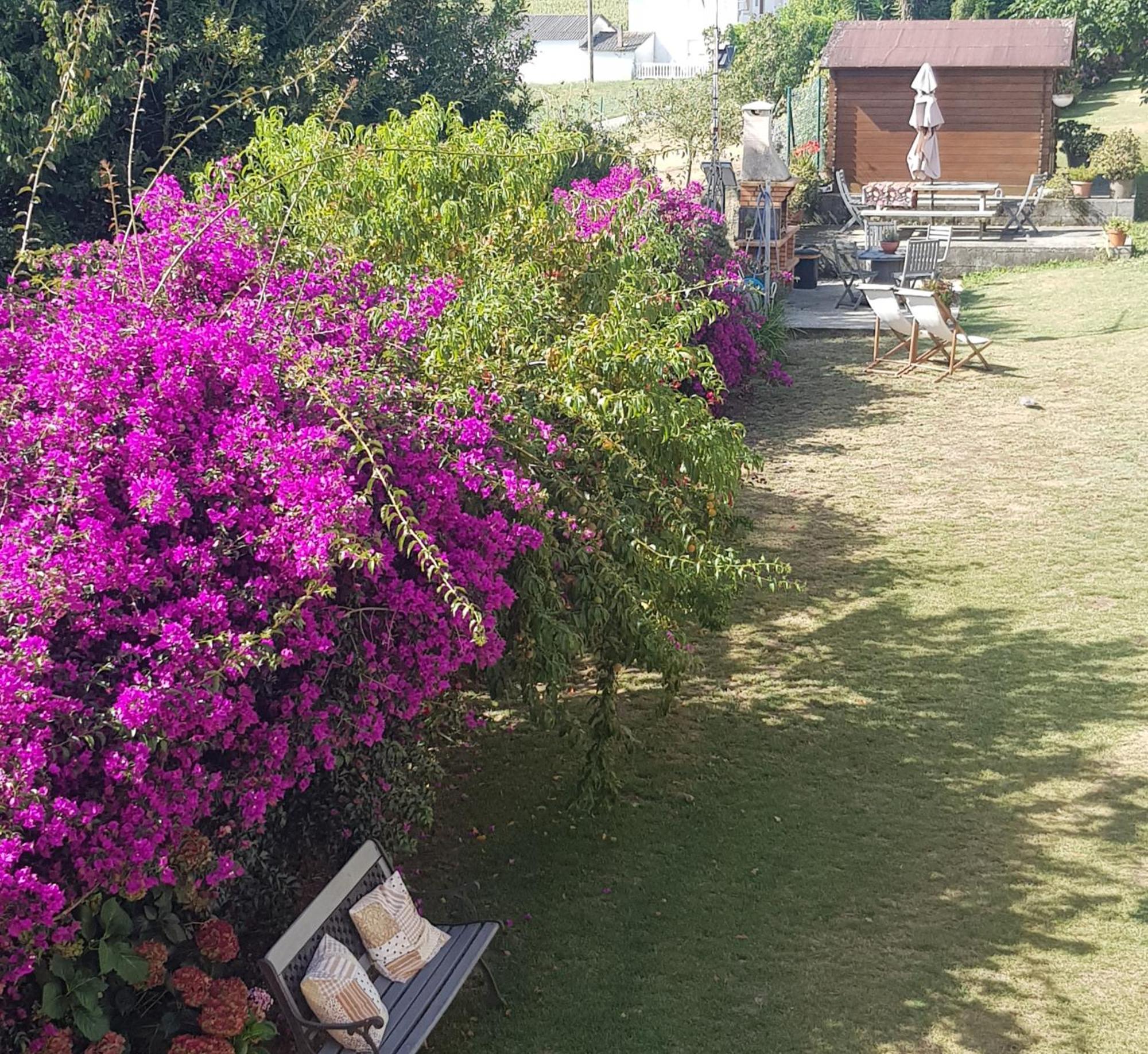 Apartamentos Rurales Casa Pachona Puerto de Vega Dış mekan fotoğraf